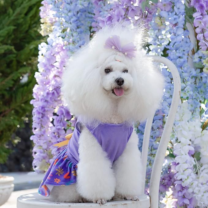 CuteBone Easter Dog Dress Velvet for Small Dogs Girl Flower Skirt Puppy Dresses Purple Dog Clothes CVA16XXS-D