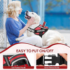 Service Dog Vest Harness and Leash Set, Animire in Training Dog Harness with 10 Dog Patches, Reflective Dog Leash with Soft Padded Handle for Small, Medium, Large, and Extra-Large Dogs (RED,M)