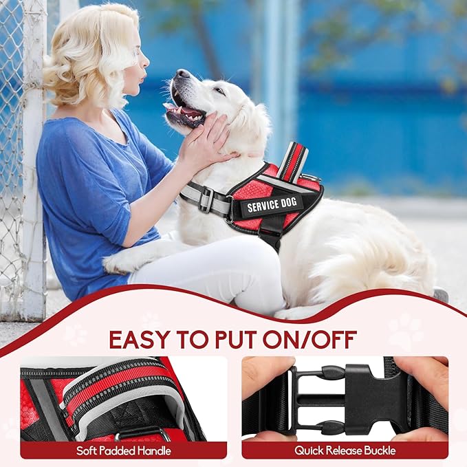 Service Dog Vest Harness and Leash Set, Animire in Training Dog Harness with 10 Dog Patches, Reflective Dog Leash with Soft Padded Handle for Small, Medium, Large, and Extra-Large Dogs (RED,S)