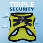 Best Pet Supplies Voyager Step-in Air Harness - All Weather Mesh, Reflective, No Pull Harness for Dogs, Cats - Secure with Hook & Loop Fastener, Buckle, Double D-Rings - Lime Green/Black Trim, M