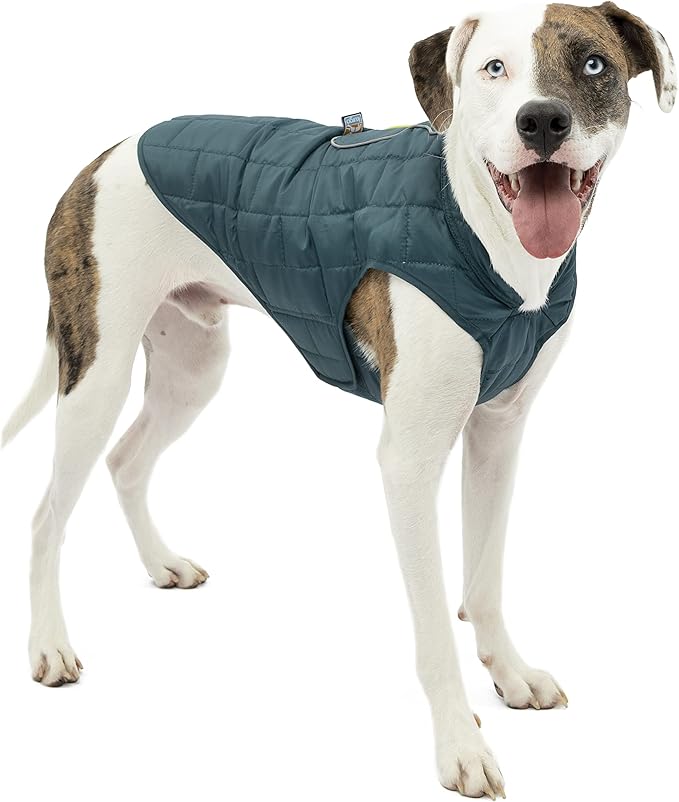 Kurgo Loft Dog Jacket - Reversible Cozy Coat for Outdoor Adventures - Water Resistant - Athletic Fit - Machine Washable Fabric - Reflective Dog Gear - Small - Ink Blue