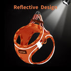 AMTOR Small Dog Harness with Leash Set, No Escape Easy Walk Puppy Harnesses for Training Walking, Step-in Reflective Soft Dogs Vest for XS S Medium Extra-Small Large Sized Dog(S Size,Orange/White)