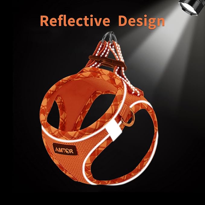 AMTOR Small Dog Harness with Leash Set, No Escape Easy Walk Puppy Harnesses for Training Walking, Step-in Reflective Soft Dogs Vest for XS S Medium Extra-Small Large Sized Dog(XXS Size,Orange/White)