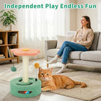 Cat Scratching Post 13.98" H, Flower-Shaped Small Cat Tree with Sisal Scratcher, Interactive Hanging Ball & Track Ball Toy, Easy Assembly Kitten Activity Center for Indoor Cats, Protect Furniture