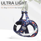 PUPTECK Dog Harness and Leash Set for Small Medium Dogs No Pull Step-in Soft Mesh Puppy Cat Vest Harnesses Reflective at Night, NavyBlue Print, S