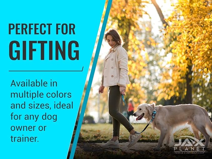 Black Martingale Collar for Dogs - Heavy Duty Nylon Pet Collars for Escape-Free, No Pull Training & Walking with Alloy Metal Release Buckle & Reflective D Ring, One Time Adjustment, Safe & Secure, M