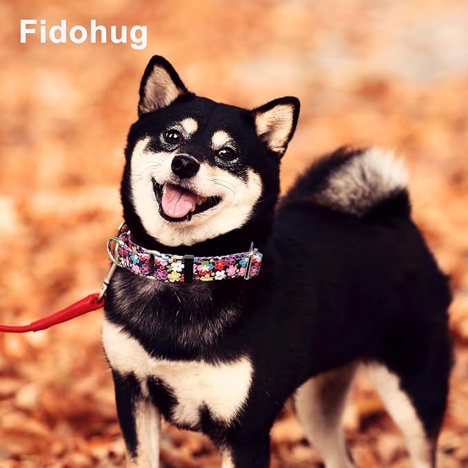 Reflective Martingale Collar for Dogs with Buckle Pretty Fancy Female Floral Dog Collars (Japanese Blossoms, Small)