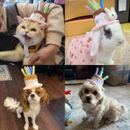 LESYPET Dog Cat Birthday Hat, Cute Birthday Cake Hat with 4 Color Candles for Cats Small Dogs, Pet Birthday Supplies Party Apparel Accessory, Size S