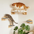 Cat Shelves for Wall, Corner Cat Wall Shelf with 3 Wide Steps, Wooden Wall Mounted Cat Shelf for Indoor Cats, 30 lb Capacity, Removable Plush Pads, Cat Climbing Perch Set for Large Cats