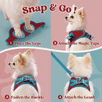 rabbitgoo Dog Harness Small Sized and Leash Set, Step-in Breathable Pet Harness, Soft Walking Reflective Puppy Vest for Small Dogs, Red & Teal, S
