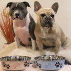 Loving Pets Bella Dog Bowls- Stainless Steel Dog & Cat Bowls - Spill Proof Dog Food Bowl, Cat Bowl, Puppy Essentials & Pet Supplies Great for Home & Travel (Large 35-65 lbs, Murano Blue)