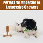 SPOT Bam-Bones Plus T-Bone, Bamboo Fiber & Nylon Dog Chew, Durable for Aggressive Chewers, Non-Splintering, for Adult Dogs & Teething Puppies Under 30lbs, 4in, Chicken Flavor