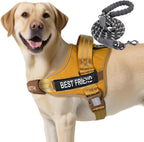AUROTH Dog Harness and Leash Set, Soft Padded Service Dog Vest with 5.25FT Dog Leash, No Choke, Easy On Pet Vest, Adjustable Reflective No Pull Dog Harness for Large Dogs, Easy Walking and Training