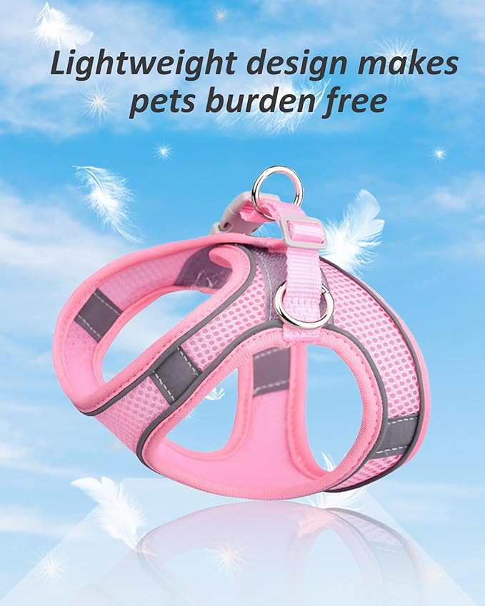 Solmoony Dog Harness for Small Medium Dogs No Pull, Puppy Harness and Leash Set, Puppy Harness, Step in Harness for Small Dogs,mesh Dog Harness. (Black, S)
