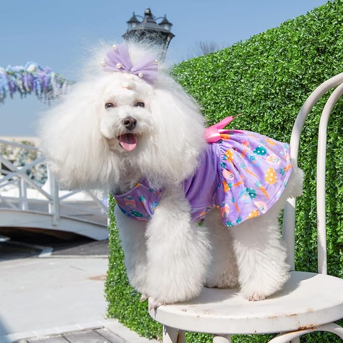 CuteBone White Rabbit Dog Easter Dress Velvet for Small Dogs Girl Eggs Skirt Puppy Purple Dresses Dog Clothes CVA19S-D