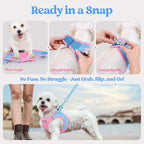 rabbitgoo Dog Harness Small Medium Sized and Leash Set, Step in Soft Light Puppy Vest, Breathable Mesh Pet Harness, Reflective for Safe Easy Walking, Blue & Light Pink L