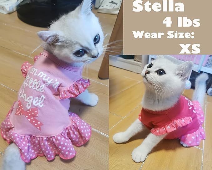 XPUDAC 4 Pack Pet Dog Dress Shirt Puppy Skirt Cute Doggie Dress Summer Clothes Dog Apparel for Small Dogs and Cats (Pink Angel, Large(12-19 Lbs))