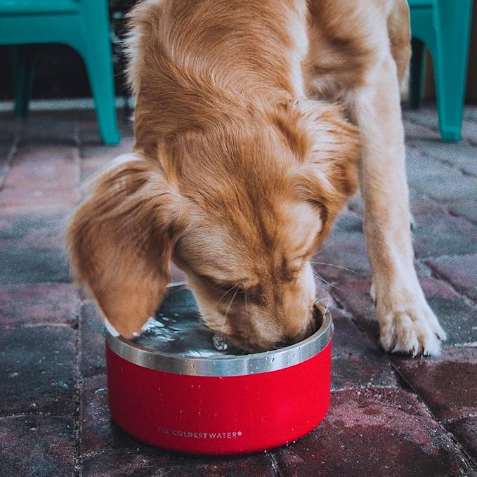 Coldest Dog Bowl - Anti Rust Metal, Non Slip, 3 Layers Insulated Stainless Steel Dog Bowls - Spill Proof & Heavy Duty - Water Bowl for Dogs, Cats & Pets, Dish Washer Safe (21 oz,Cotton Candy Pink)