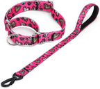 Martingale Collar and Leash Set, Premium No Slip Martingale Collar for Dogs Medium Large, Girl Dog Collars Training (NO5, M)