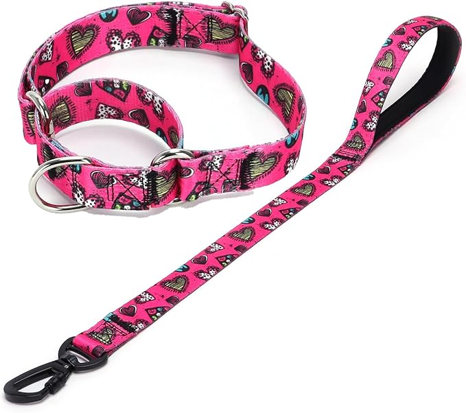 Martingale Collar and Leash Set, Premium No Slip Martingale Collar for Dogs Medium Large, Girl Dog Collars Training (NO5, M)