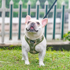 PUPTECK Soft Mesh Dog Harness and Leash Set Pet Puppy Cat Comfort Padded Vest No Pull Harnesses, Olive Green, M