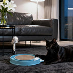 3 Pcs Cat Ball Track Toy, Include 1 Round Cat Scratcher Toy with 2 Cats Scratching Board Pad Replacement, Interactive Toys Track and Plush Mouse Toys for Indoor Cats Kitten