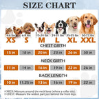 EXPAWLORER Dog Hoodie Fleece Sweater Vest, Hooded Dog Sweatshirt Fall Winter Pet Clothes with Leash Hole, Sleeveless Warm Cozy Puppy Clothing for Cat Small Medium Large Dogs Girl Boy, Purple XXL