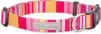 Lucky Love Dog - Adjustable Dog Collar with Easy Click Buckle for Small Dogs, Durable, & Comfortable for Male & Female Dogs, Pet Collar for Puppies & Adult Dogs - Molly, Small