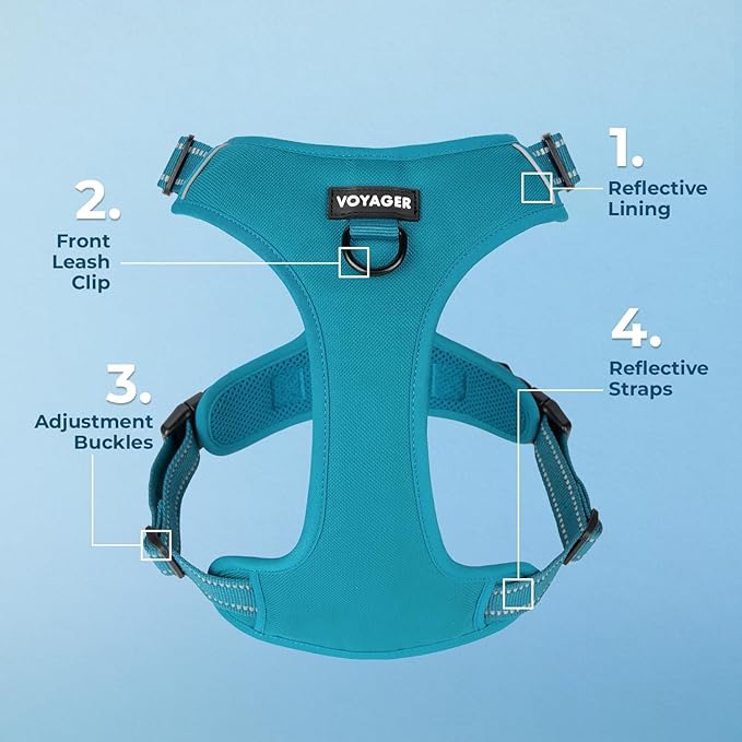 Voyager Dog Harness Dual Leash Attachment No-Pull Control Adjustable Soft but Strong Pet Harness for Medium and Large Dogs with 3M Reflective Technology, Turquoise Nylon, XL (Chest: 28-37")
