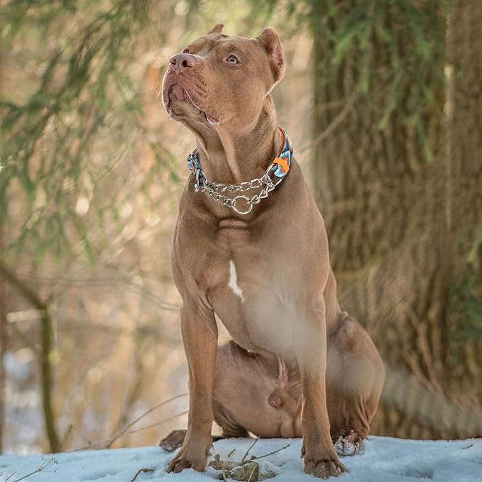 Martingale Dog Collar No Pull Adjustable - Choke Chain Collar with Metal Chain for Medium Large XL Dogs Comfortable Anti-Pull Training Collar, Tribal Pattern L