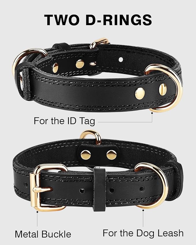 Joytale Leather Dog Collar for Small Dogs, Genuine Solid Sturdy Leather for Active Small Breeds, Adjustable Metal Pin Buckle, Durable and Secure Pet Collar for Daily Use, Black, S