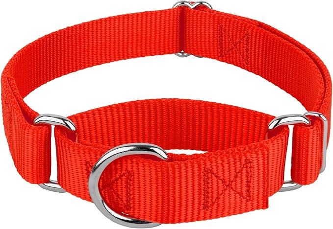 Country Brook Petz - Martingale Dog Collar - Heavy-Duty Training Collar with No Buckle - Service Dog Collar for All Pups - 10+ Warm Colors (Hot Orange, 5/8 Inch, Extra Small)