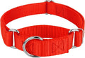 Country Brook Petz - Martingale Dog Collar - Heavy-Duty Training Collar with No Buckle - Service Dog Collar for All Pups - 10+ Warm Colors (Hot Orange, 5/8 Inch, Extra Small)