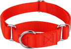 Country Brook Petz - Martingale Dog Collar - Heavy-Duty Training Collar with No Buckle - Service Dog Collar for All Pups - 10+ Warm Colors (Hot Orange, 5/8 Inch, Extra Small)