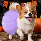 2 Pcs Dog Tutu Dress with Pearl Crown for Small Medium Pet Cat Dog Halloween Costume Dress for Ballet Birthday Party Wedding Photo Prop