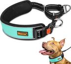 Mayerzon 2 Inch Wide Martingale Collar for Large Dogs, Patented No Pull Walking Training Dog Collar for Pitbull German Shepherd, with Buckle, Reflective Stitching, Neoprene Layer, Adjustable(Teal, M)