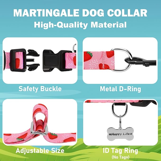 Martingale Collar for Dogs with Buckle Nylon Limited Slip No Pull Training Dog Collars (Pink Strawberry, XSmall)
