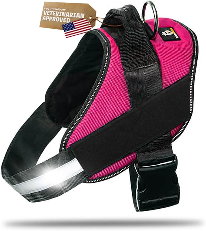 Dog Harness with Patch Panels, No Choke, Reflective, Adjustable, Soft Padded Dog Vest Harness with Easy Control Handle for Small Size Dog, Rose Red, S