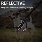PUPTECK Soft Mesh Dog Harness and Leash Set Pet Puppy Cat Comfort Padded Vest No Pull Harnesses Valentine, Black&Pink, XS