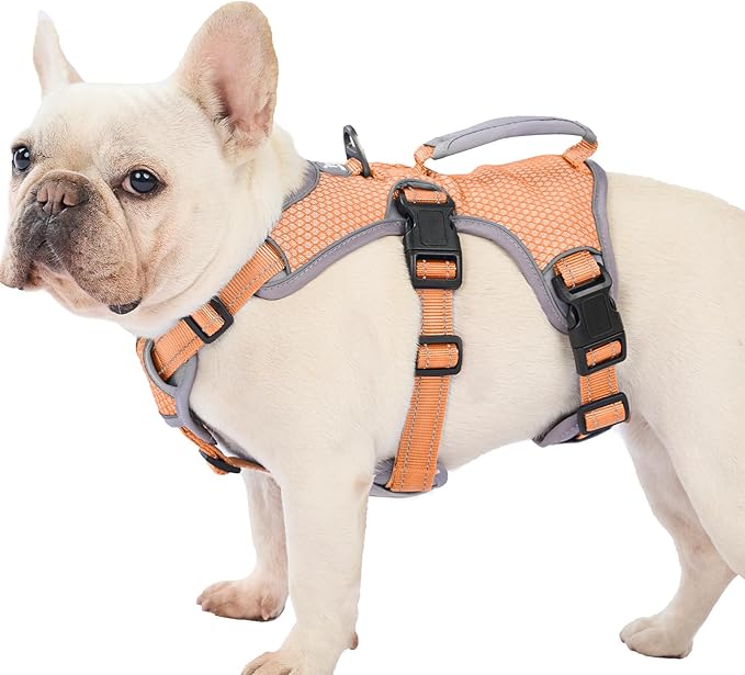 Huntboo Escape Proof Dog Harness, Escape Artist Harness, Reflective Dog Harness with Handle, Durable,Adjustable Vest for Small Medium Large Dogs Walking, Training, and Running Gear(Orange,L)