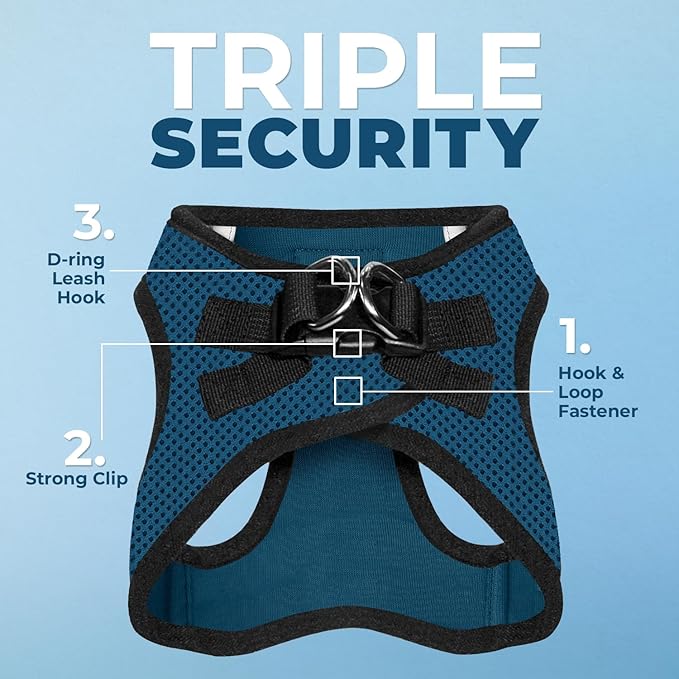 Best Pet Supplies Voyager Step-in Air Harness - All Weather Mesh, Reflective, No Pull Harness for Dogs, Cats - Secure with Hook & Loop Fastener, Buckle, Double D-Rings - Blue/Black Trim, XS