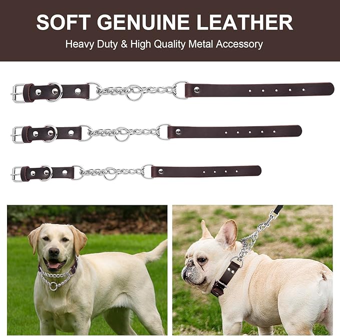 Leather Martingale Dog Collar, Genuine & Stainless Steel Chain Martingale Collar No-Pull Adjustable Anti-Slip Training & Walking Collar for Small Medium Large Breed Dogs Pets. (Medium: Neck 12"-19")