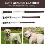 Leather Martingale Dog Collar, Genuine & Stainless Steel Chain Martingale Collar No-Pull Adjustable Anti-Slip Training & Walking Collar for Small Medium Large Breed Dogs Pets. (Large: Neck 15"-23")