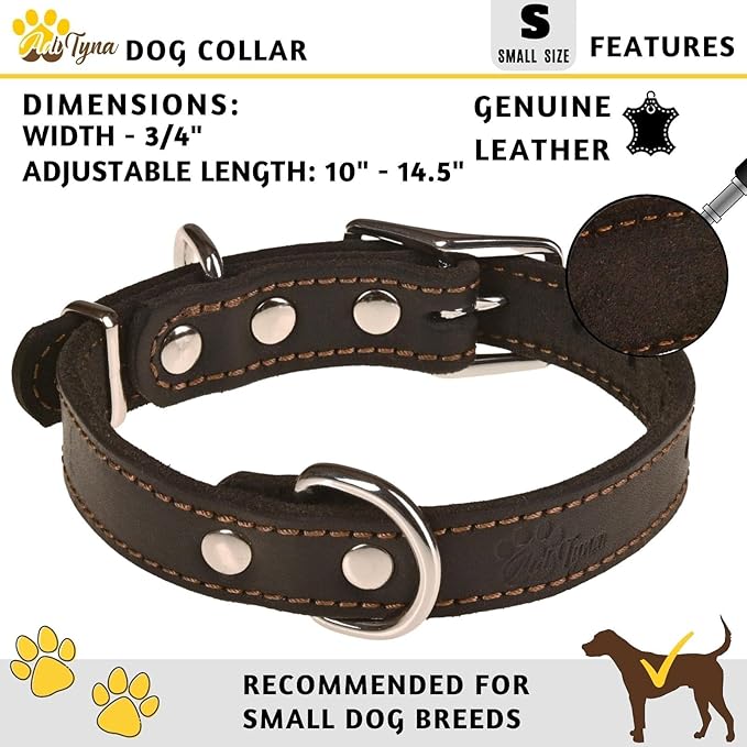Heavy Duty Black Leather Dog Collar – Soft and Strong Dog Collar for Puppy or Small Breeds Like Cavalier and Miniature Schnauzer (Small: Fit 10" - 14.5" Neck, Black)