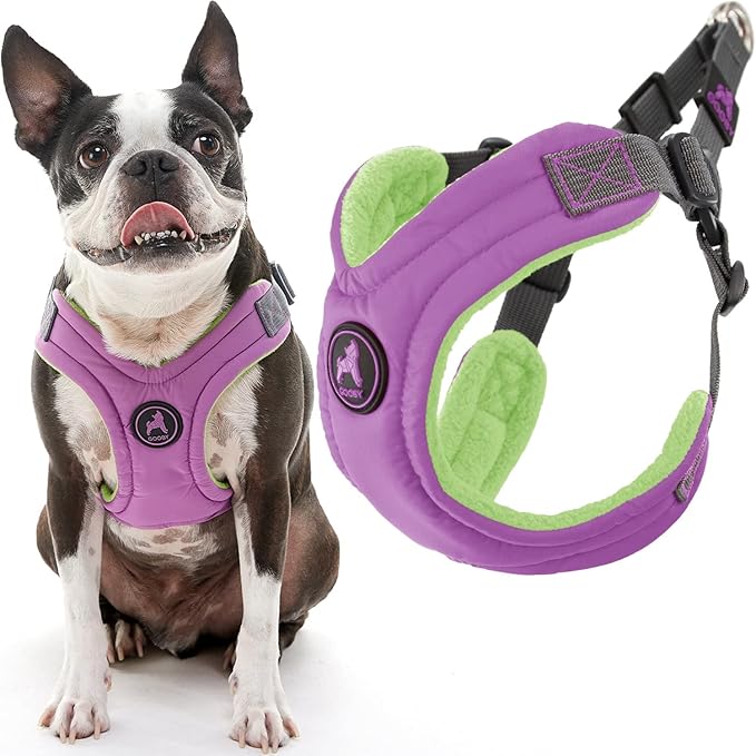 Gooby Escape Free Memory Foam Harness - Purple, Small - No Pull Step-in Dog Harness with Four Point Adjustment for Small to Medium Dogs