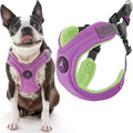 Gooby Escape Free Memory Foam Harness - Purple, Small - No Pull Step-in Dog Harness with Four Point Adjustment for Small to Medium Dogs
