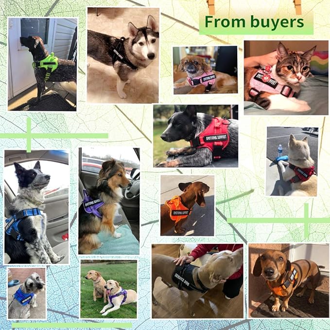 voopet Service Dog Harness, Emotional Support Pet Vest Harness, Reflective Breathable & Adjustable No Pull ESA Harness for Small Medium Large Dogs (with 4 PCS Removeable Tags),X Small (Pack of 1)