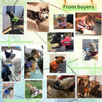 voopet Service Dog Harness, Emotional Support Pet Vest Harness, Reflective Breathable and Adjustable No-Pull ESA Dog Harness for Small Medium Large Dogs (with 4 PCS Removeable Tags)