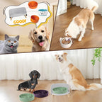 Raised Dog Feeder Bowl Stand - Elevated Dining Table for Medium and Large Dogs - Fits Food and Water Dish up to 8" Diameter - Grey (Bowl Not Included)