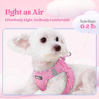 rabbitgoo Dog Harness Small Sized and Leash Set, Step in Soft Light Puppy Vest, Breathable Mesh Pet Harness, Reflective for Safe Easy Walking, Pink & Plaid Trim M